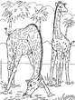 lamina para imprimir y colorear Medio ambiente, animales y paisajes